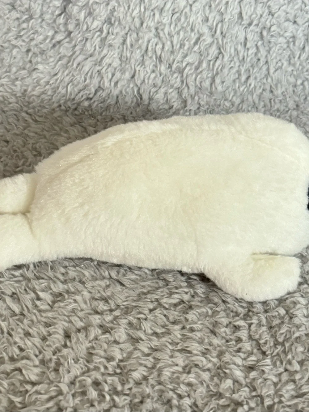 Ty Beanie Boos Icy The White Seal Plush 6” Stuffed Animal Soft Toy